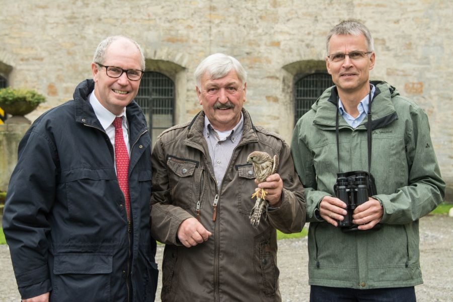 Haben einen Turmfalken freigelassen (von links): Landrat Manfred Müller, Leiter der Auffangstation für Greifvögel und Eulen in Marsberg Wilfried Limpinsel 